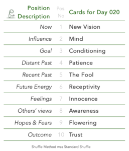 Tabled list: position number, description, and daily card.1 is Now, card is New Vision.2 is Influence, card is Mind.3 is Goal, card is Conditioning.4 is Distant Past, card is Patience.5 is Recent Past, card is The Fool.6 is Future Energy, card is Receptivity.7 is Feelings, card is Innocence.8 is Others’ views, card is Awareness.9 is Hopes & Fears, card is Flowering.10 is Outcome, card is Trust.Shuffle Method, used was Standard Shuffle.