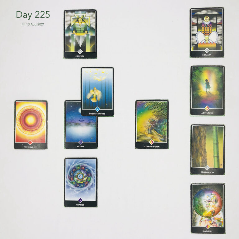 Day 225. Cards in order of appearance: Silence, Inner Voice, Control, Slowing Down, Change, The Source, Maturity, Comparison, Adventure, Morality, Fan Selection