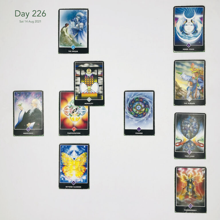 Day 226. Cards in order of appearance: Participation, Morality, The Dream, Change, Beyond Illusion, Innocence, Thunderbolt, Past Lives, The Burden, Inner Voice, Standard Shuffle