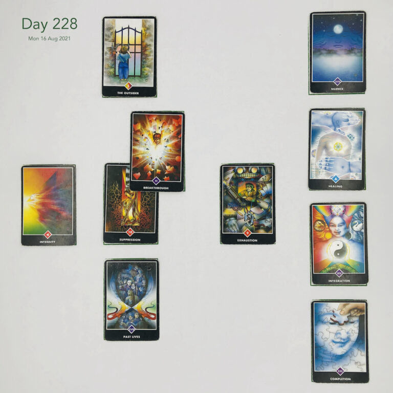 Day 228. Cards in order of appearance: Suppression, Breakthrough, The Outsider, Exhaustion, Past Lives, Intensity, Completion, Integration, Healing, Silence, Washing Machine