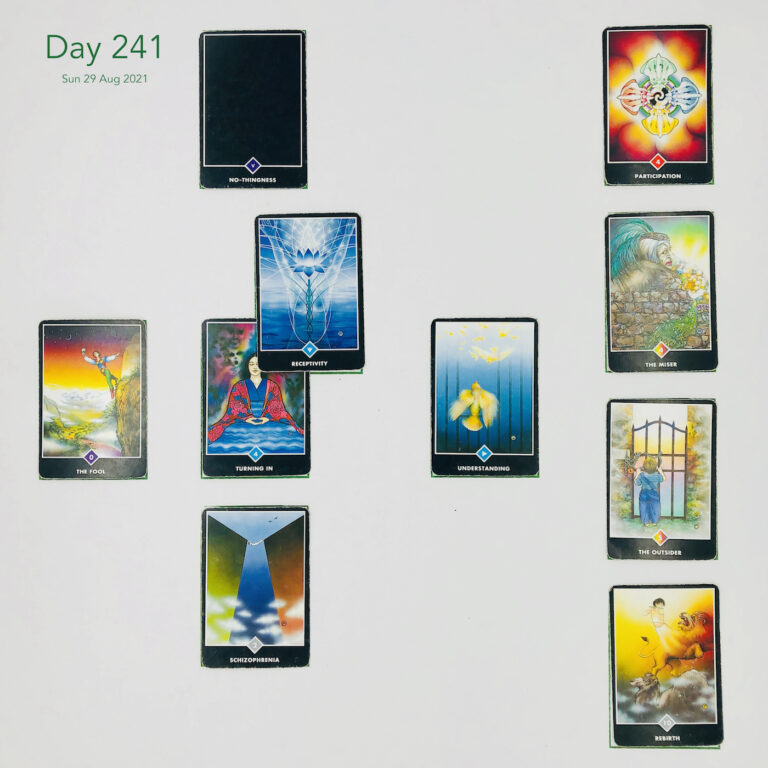 kickstarter. Day 241. Cards in order of appearance: Turning In, Receptivity, No-thingness, Understanding, Schizophrenia, The Fool, Rebirth, The Outsider, The Miser, Participation, Standard Shuffle