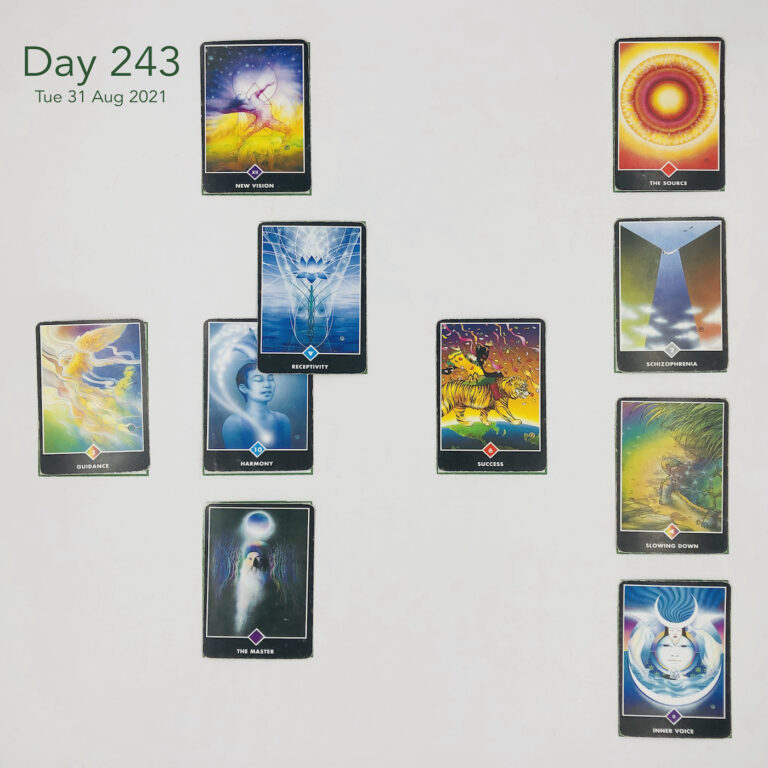 Day 243. Birthdays. Cards in order of appearance: Harmony, Receptivity, New Vision, Success, The Master, Guidance, Inner Voice, Slowing Down, Schizophrenia, The Source, Deck pile shuffle