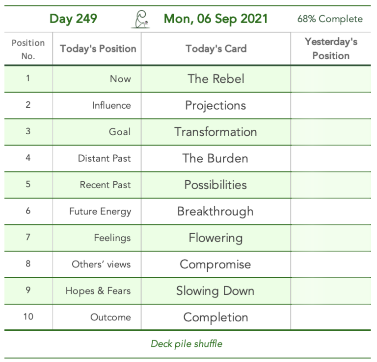 Day 249. Charities. Cards in order of appearance: The Rebel, Projections, Transformation, The Burden, Possibilities, Breakthrough, Flowering, Compromise, Slowing Down, Completion, Deck pile shuffle