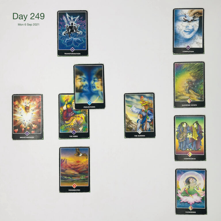 Day 249. Charities. Cards in order of appearance: The Rebel, Projections, Transformation, The Burden, Possibilities, Breakthrough, Flowering, Compromise, Slowing Down, Completion, Deck pile shuffle