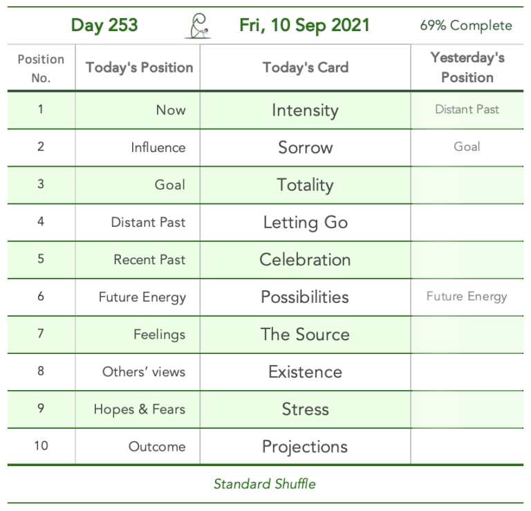 Day 253. Right to be Stupid. Cards in order of appearance: Intensity, Sorrow, Totality, Letting Go, Celebration, Possibilities, The Source, Existence, Stress, Projections, Standard Shuffle