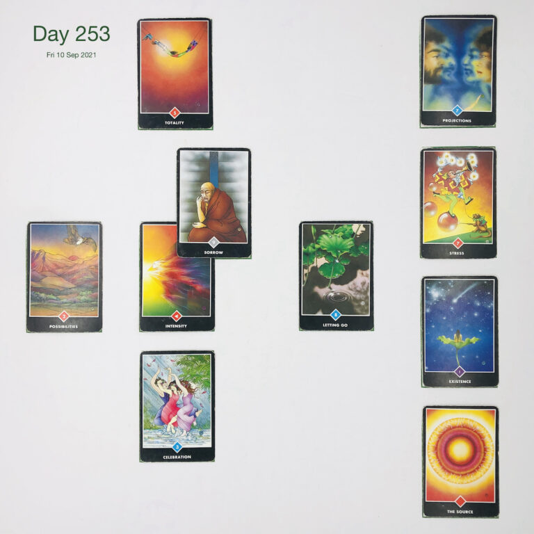 Day 253. Right to be Stupid. Cards in order of appearance: Intensity, Sorrow, Totality, Letting Go, Celebration, Possibilities, The Source, Existence, Stress, Projections, Standard Shuffle