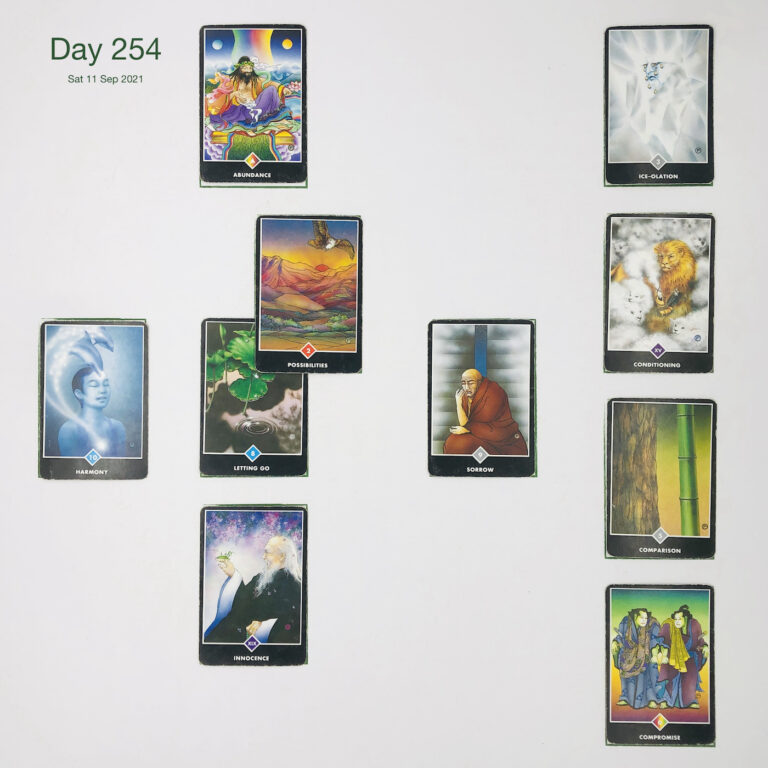 Day 254. Right to Refuse. Cards in order of appearance: Letting Go, Possibilities, Abundance, Sorrow, Innocence, Harmony, Compromise, Comparison, Conditioning, Ice-olation, Standard Shuffle