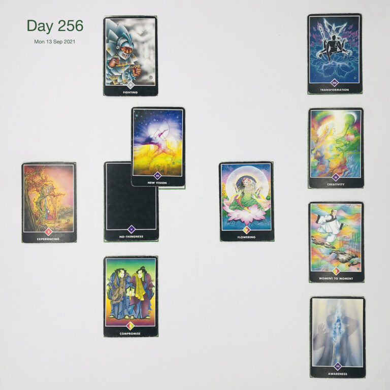 Day 256. Heroes. Cards in order of appearance: No-thingness, New Vision, Fighting, Abundance, Compromise, Experiencing, Awareness, Moment to Moment, Creativity, Transformation, Standard Shuffle