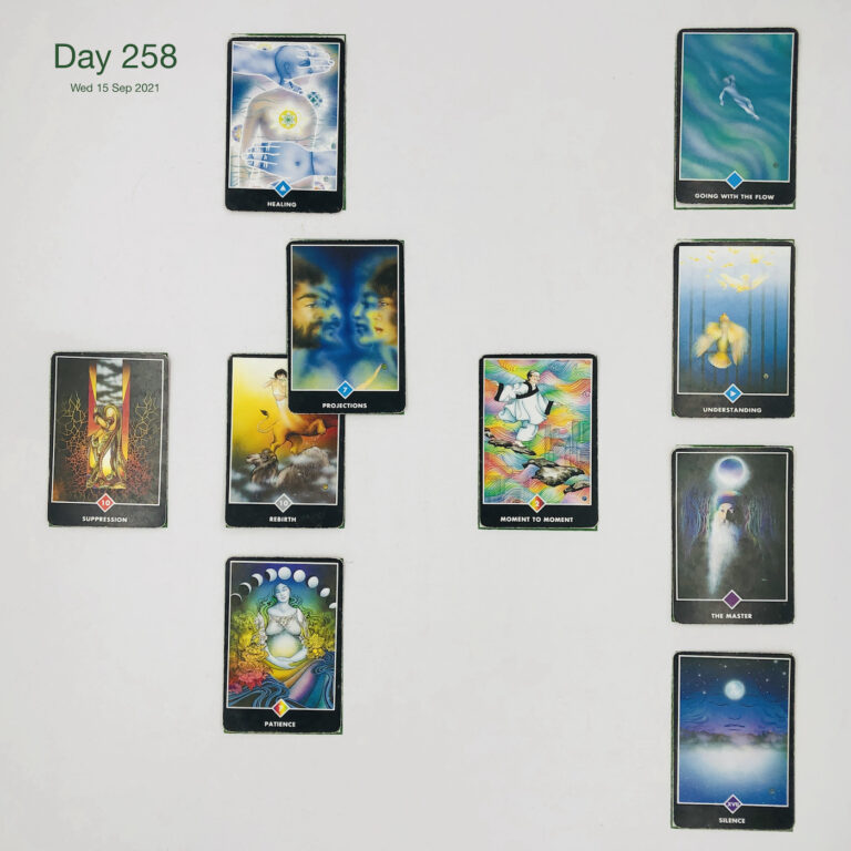 Day 258. Vanity's Kick. Cards in order of appearance: Rebirth, Projections, Healing, Moment to Moment, Patience, Suppression, Silence, The Master, Understanding, Going with the Flow, Standard Shuffle