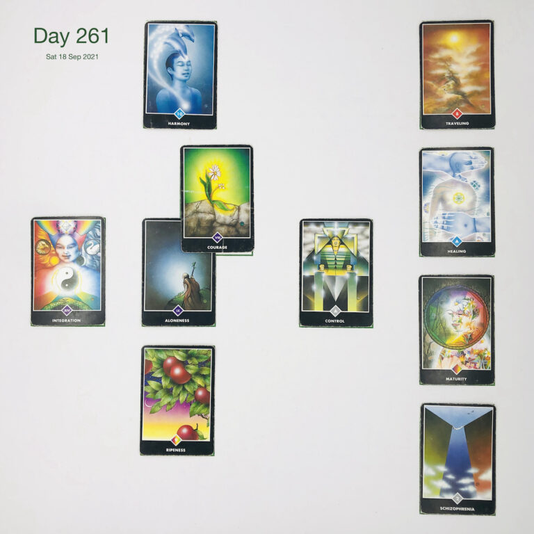 Day 261. Confelicity. Cards in order of appearance: Aloneness, Courage, Harmony, Control, Ripeness, Integration, Schizophrenia, Maturity, Healing, Traveling, Standard Shuffle