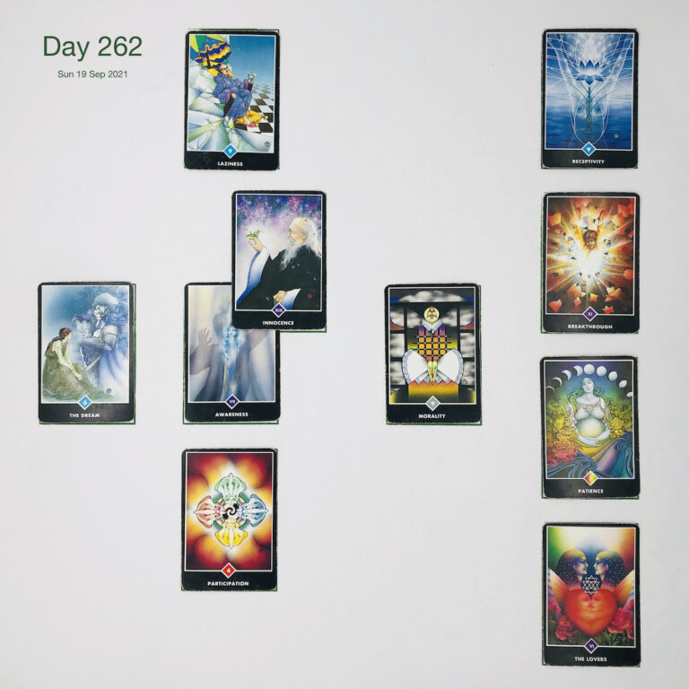 Day 262. Cards in order of appearance: Awareness, Innocence, Laziness, Morality, Participation, The Dream, The Lovers, Patience, Breakthrough, Receptivity, Washing Machine