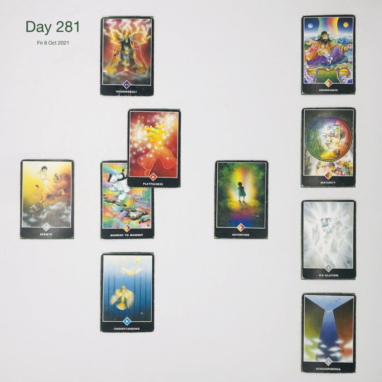 Day 281. Thin etiquette. Cards in order of appearance: Moment to Moment, Playfulness, Thunderbolt, Adventure, Understanding, Rebirth, Schizophrenia, Ice-olation, Maturity, Abundance, Standard Shuffle