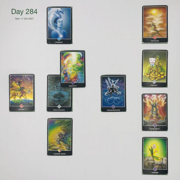 Day 284. Cards in order of appearance: Consciousness, Creativity, Harmony, Transformation, Slowing Down, Success, Courage, Thunderbolt, Politics, Traveling, Deck pile shuffle