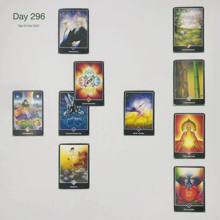 Day 296. Suspicious. Cards in order of appearance: Transformation, Participation, Innocence, New Vision, Rebirth, Abundance, The Lovers, The Creator, Comparison, Ordinariness, Washing Machine