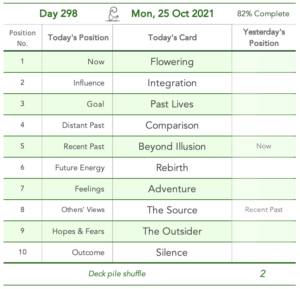 Day 298. Cards in order of appearance: Flowering, Integration, Past Lives, Comparison, Beyond Illusion, Rebirth, Adventure, The Source, The Outsider, Silence, Deck pile shuffle