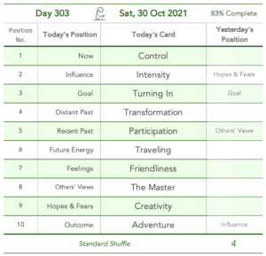 Day 303. Crypto Crash. Cards in order of appearance: Control, Intensity, Turning In, Transformation, Participation, Traveling, Friendliness, The Master, Creativity, Adventure, Washing Machine