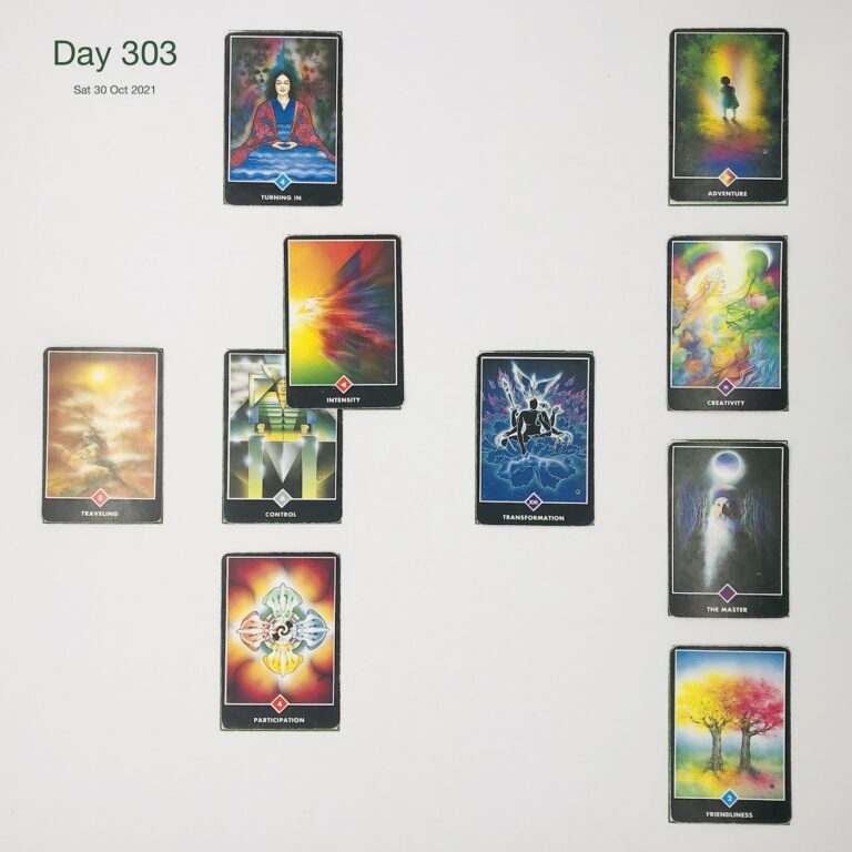 Day 303. Crypto Crash. Cards in order of appearance: Control, Intensity, Turning In, Transformation, Participation, Traveling, Friendliness, The Master, Creativity, Adventure, Washing Machine